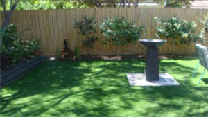 Artificial Grass