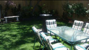 Artificial Grass